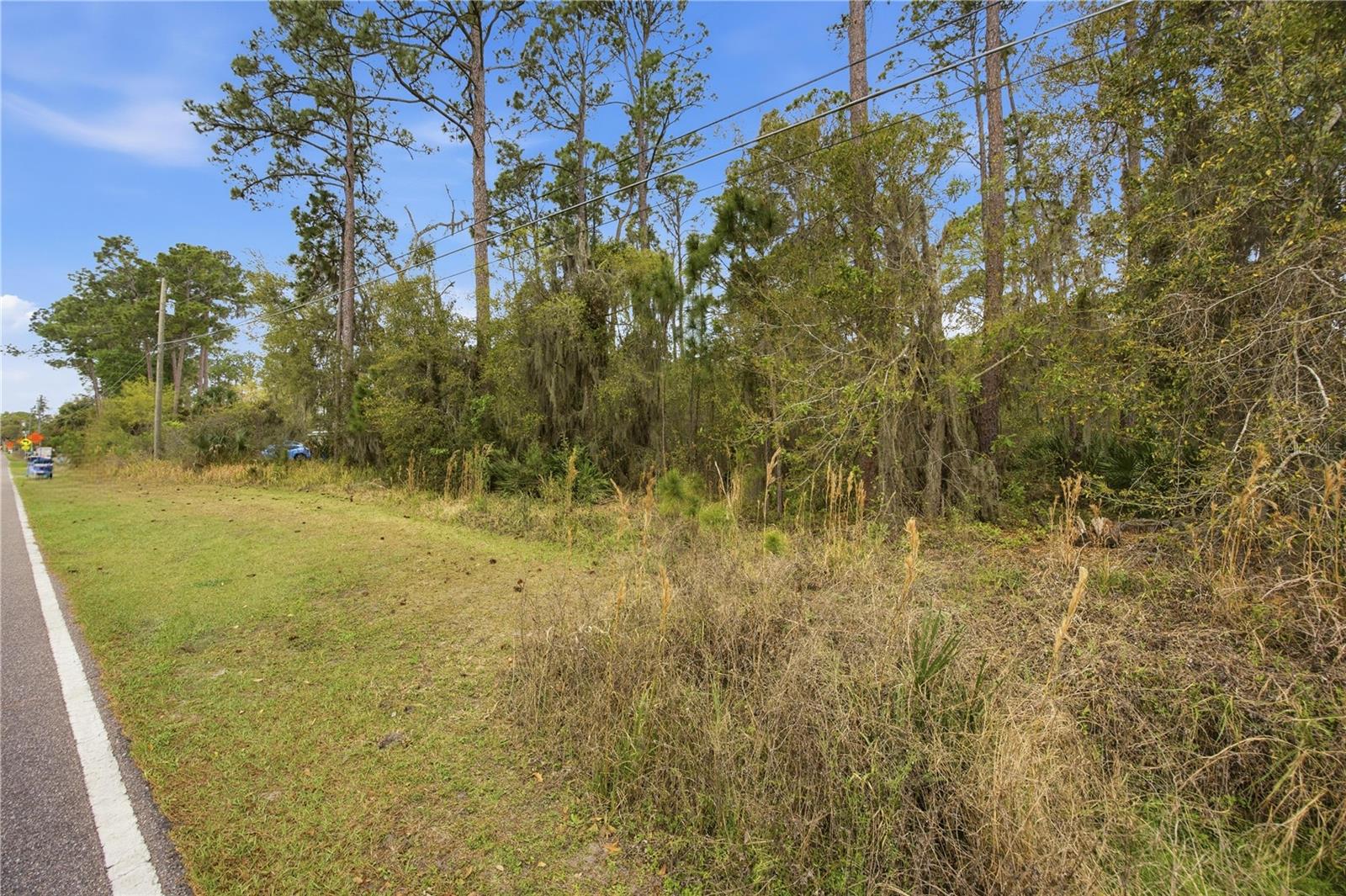 Image 12 of 12 For 446 Fort Florida Road