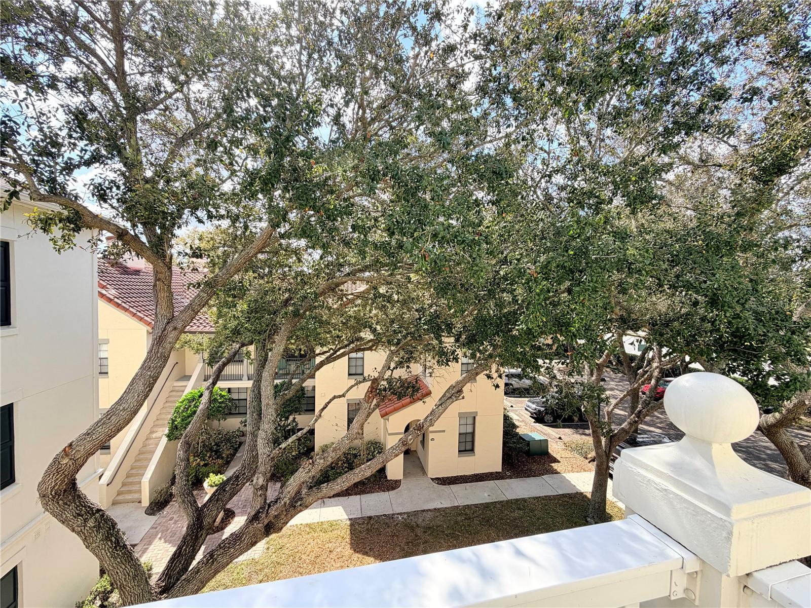 Image 12 of 35 For 700 Siena Palm Drive 305