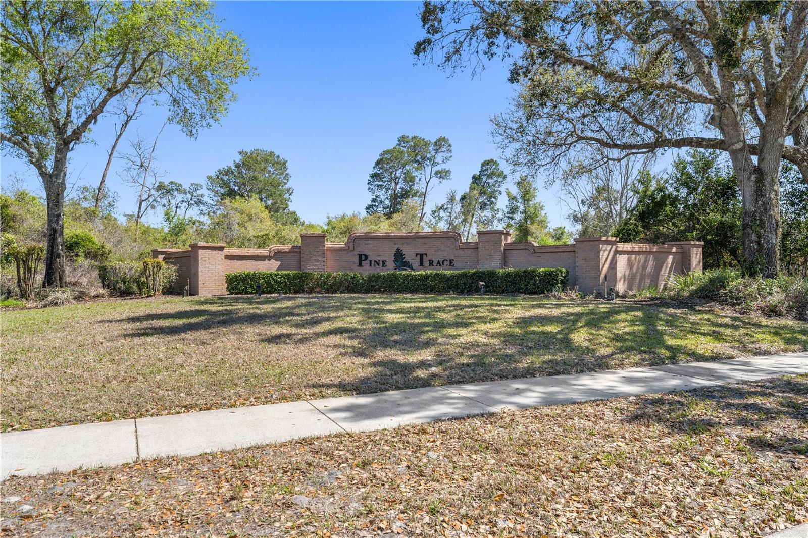 Image 3 of 72 For 141 Long Pine Drive