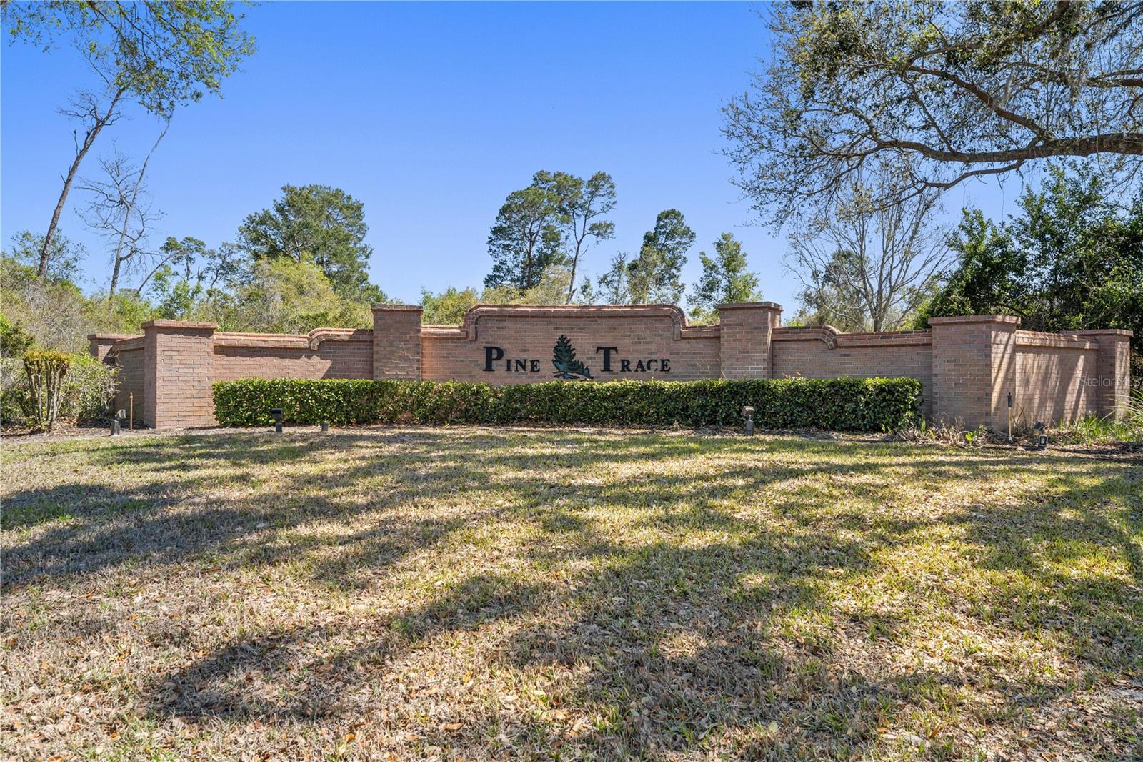 Image 72 of 72 For 141 Long Pine Drive