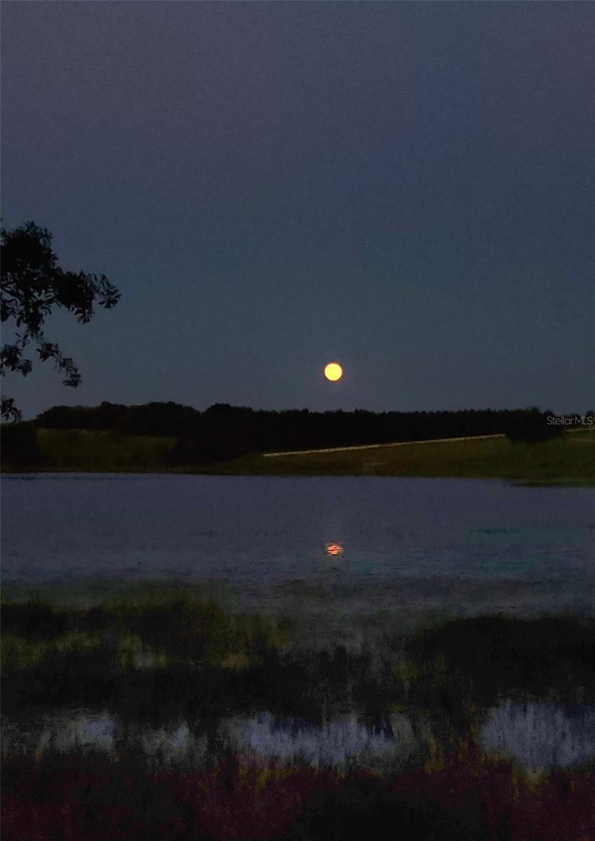 Image 21 of 69 For 17361 Channel Way