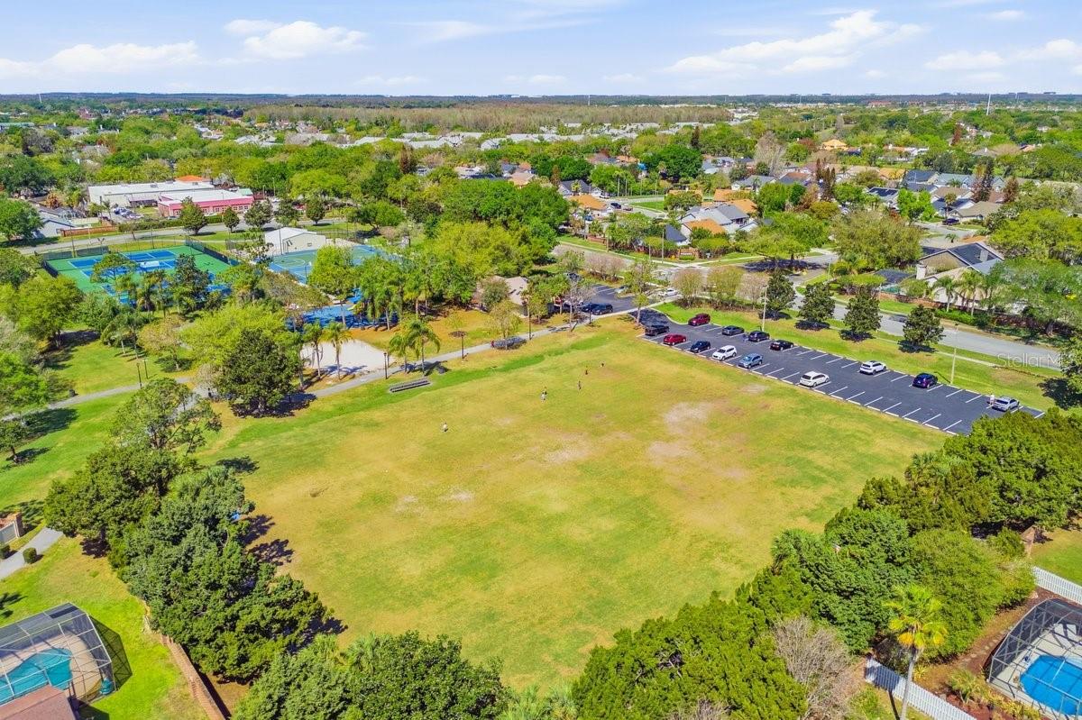 Image 19 of 19 For 2894 Falling Tree Circle