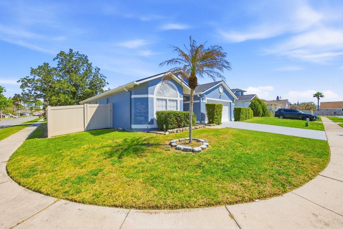 Image 2 of 19 For 2894 Falling Tree Circle