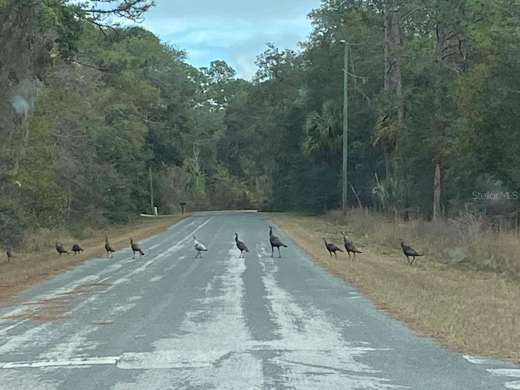 Image 9 of 17 For 2353 Green Court