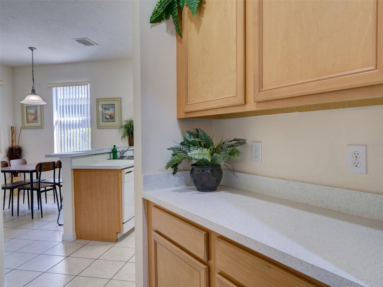 Image 19 of 63 For 509 Pineloch Drive