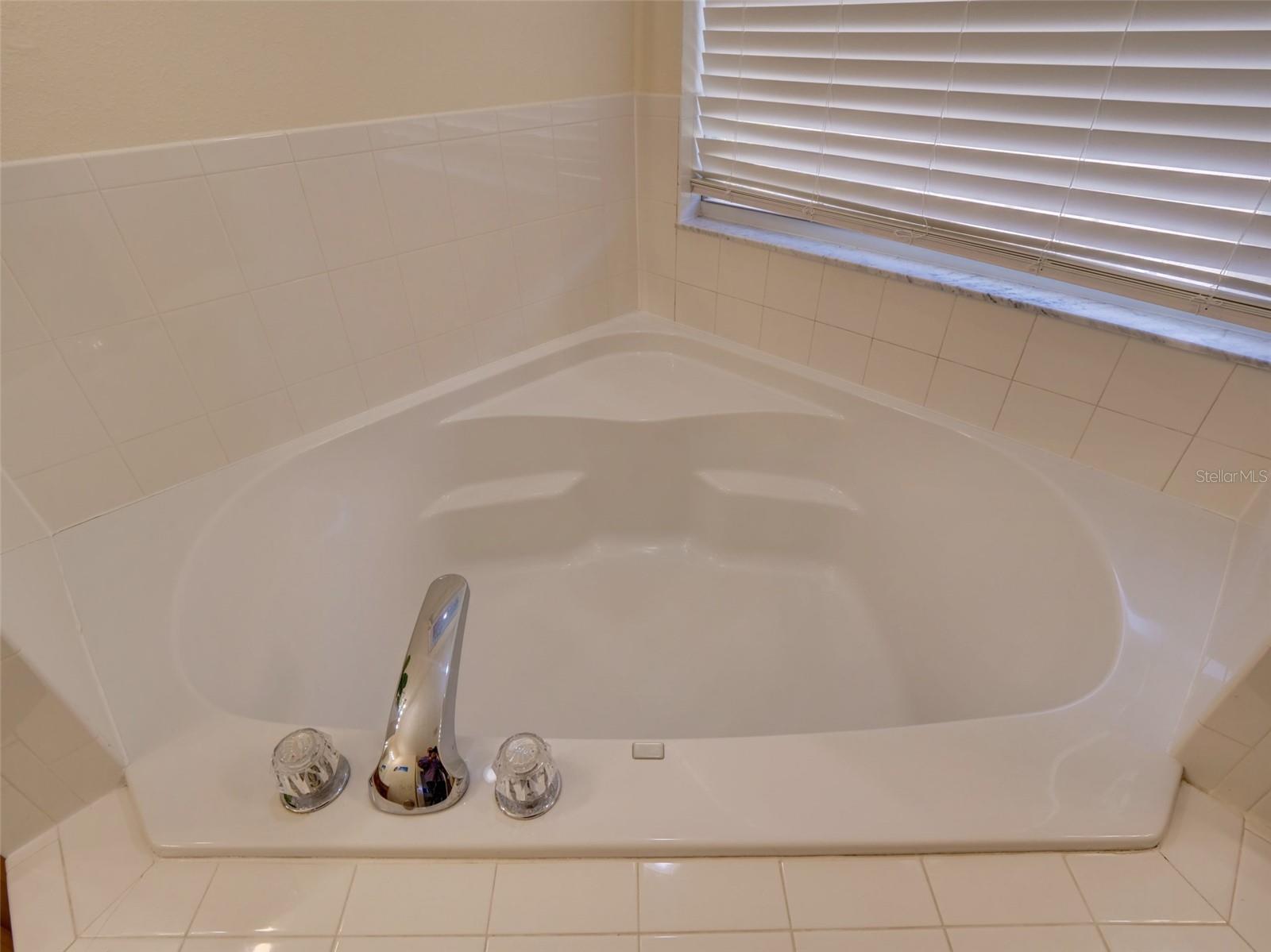 Image 33 of 63 For 509 Pineloch Drive