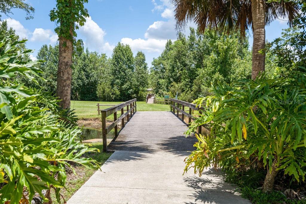 Image 47 of 52 For 325 Magnolia Street