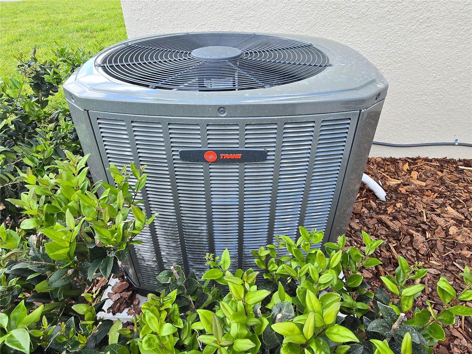 Image 12 of 92 For 87 Vinca Street