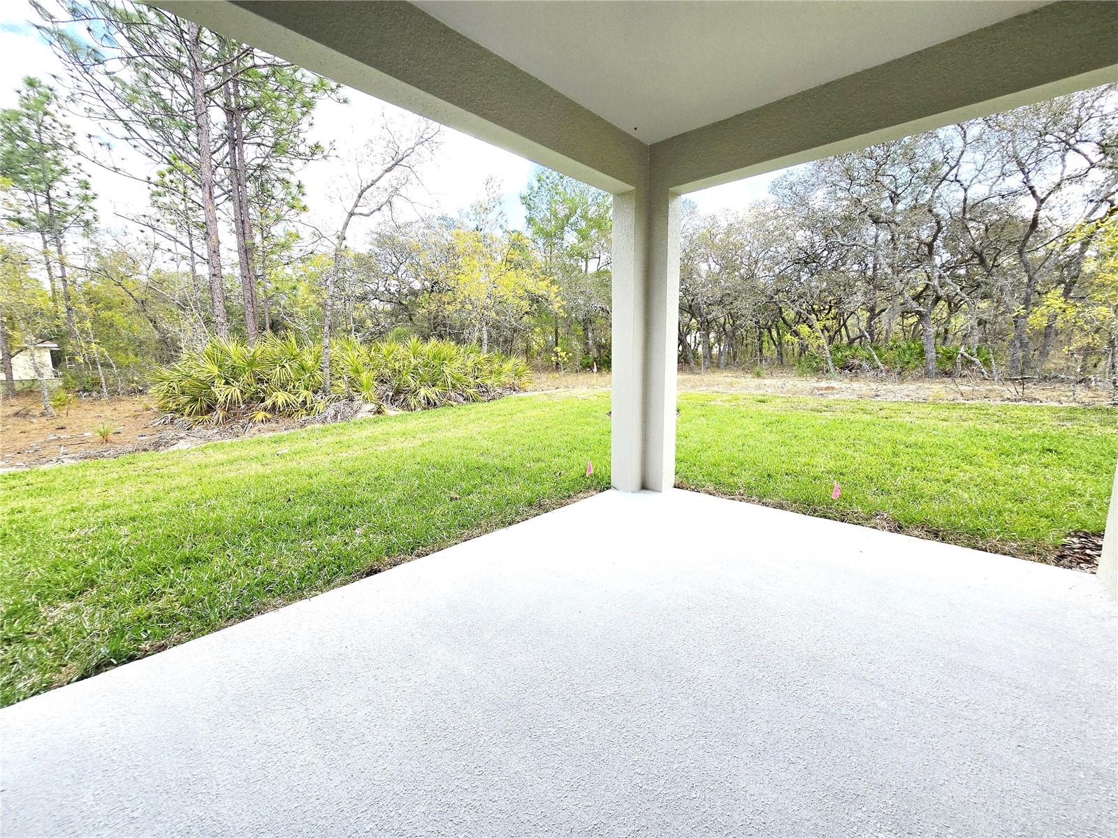 Image 22 of 92 For 87 Vinca Street