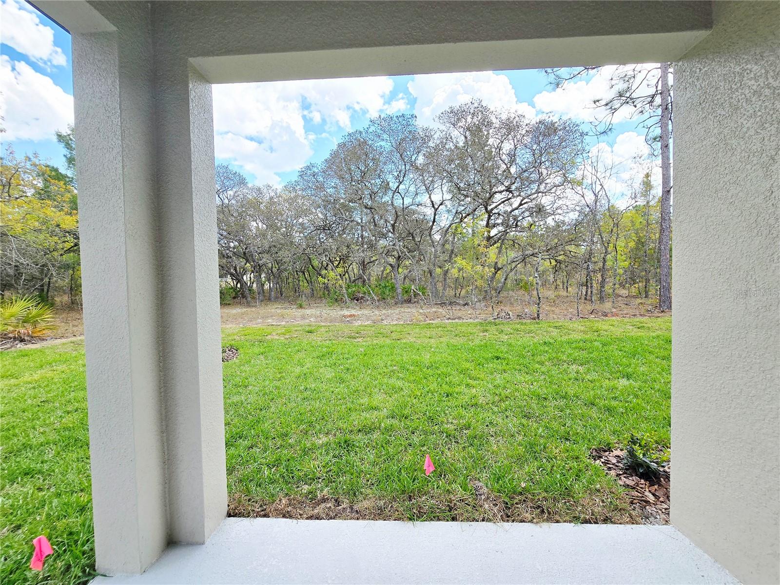 Image 27 of 92 For 87 Vinca Street