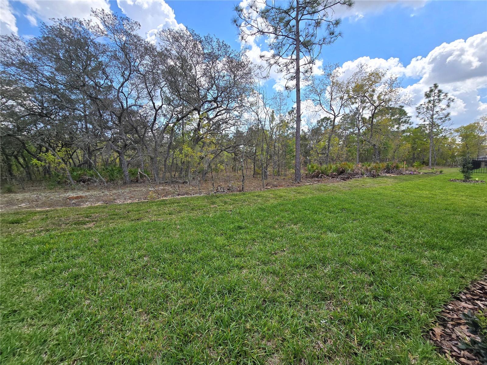 Image 28 of 92 For 87 Vinca Street