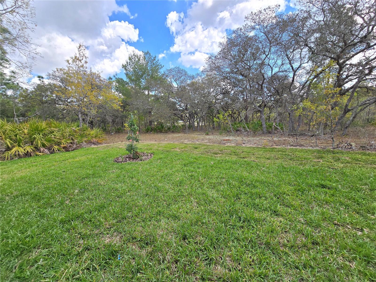 Image 29 of 92 For 87 Vinca Street