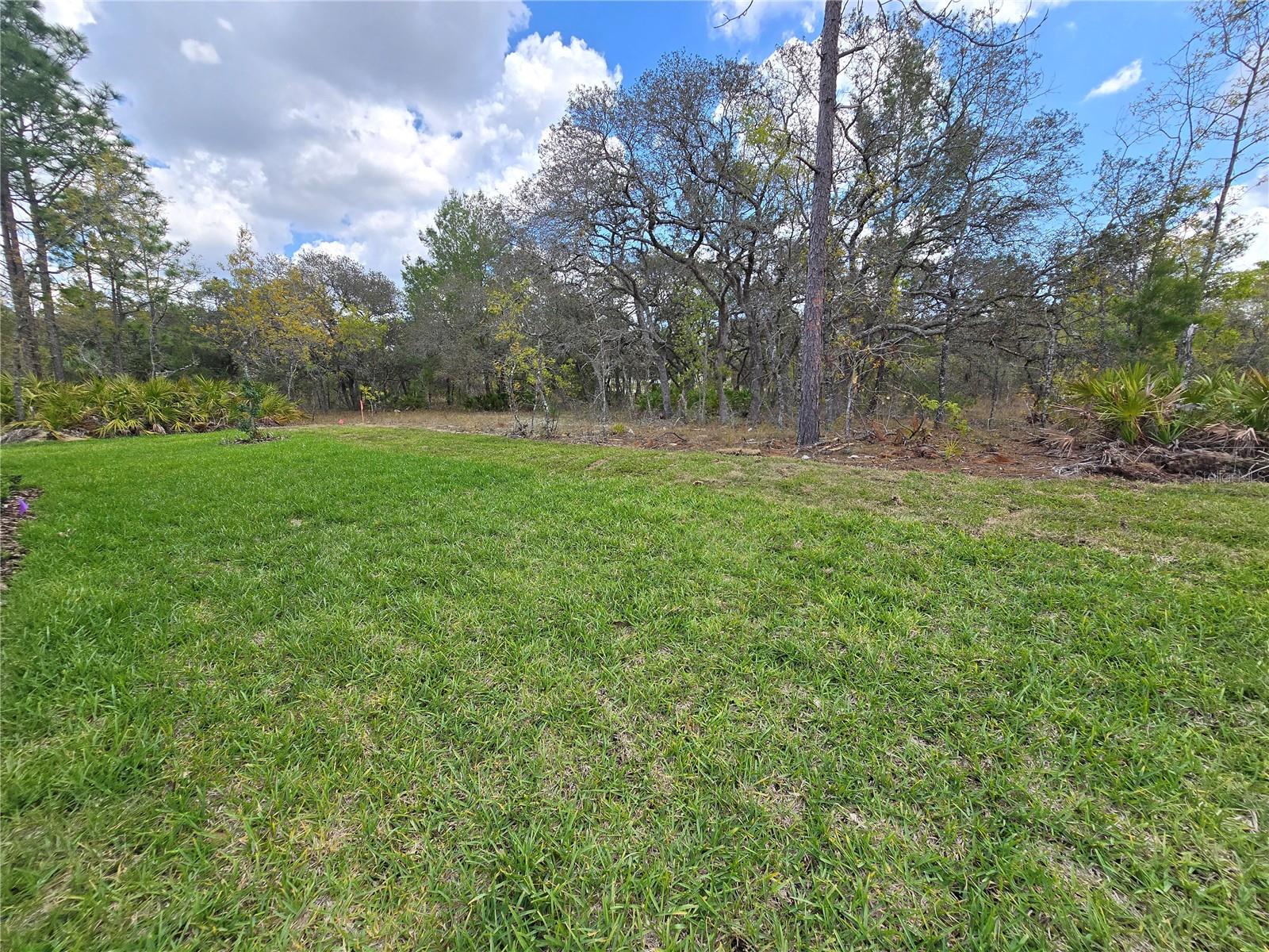 Image 31 of 92 For 87 Vinca Street