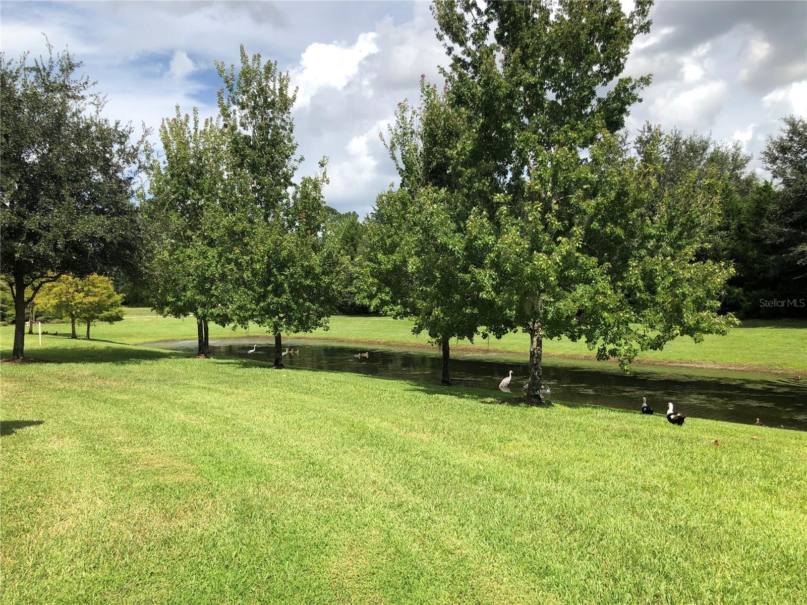 Image 14 of 15 For 1548 Purple Plum Lane