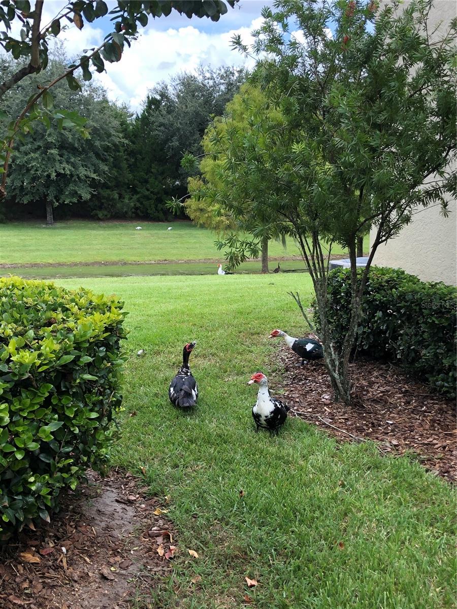 Image 8 of 15 For 1548 Purple Plum Lane