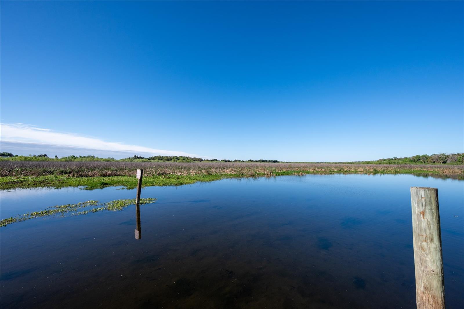 Image 50 of 50 For 239 River Village Drive