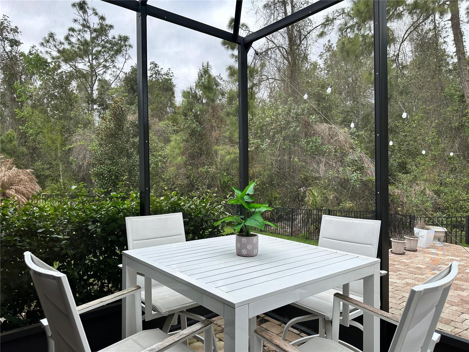 Image 39 of 52 For 556 Brunswick Drive