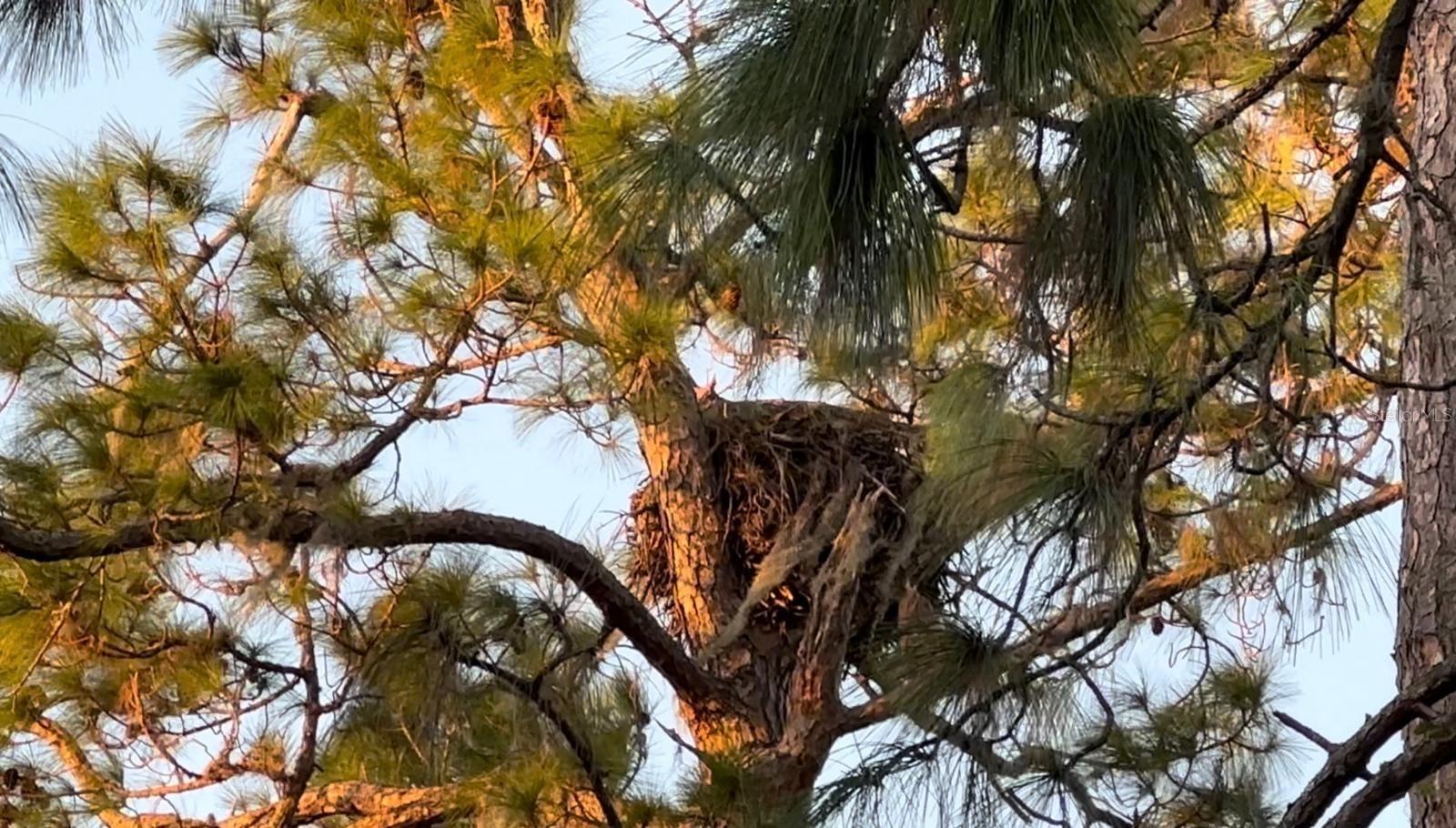 Image 48 of 52 For 556 Brunswick Drive