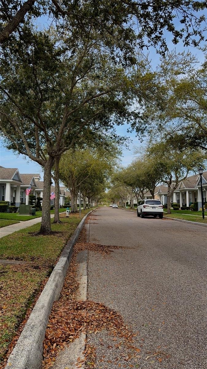 Image 2 of 16 For 14084 Wild Majestic Street