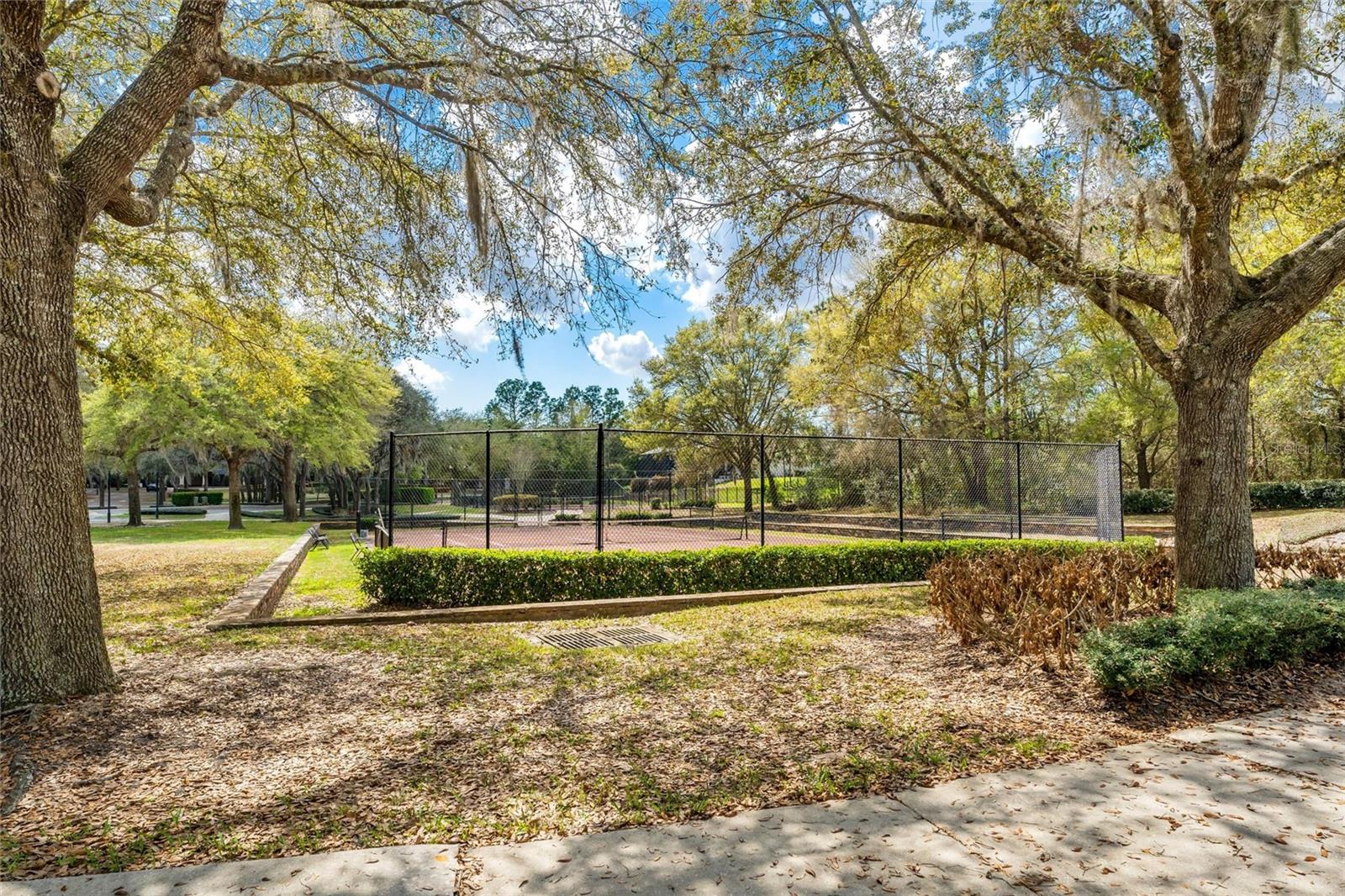 Image 59 of 62 For 31778 Red Tail Boulevard