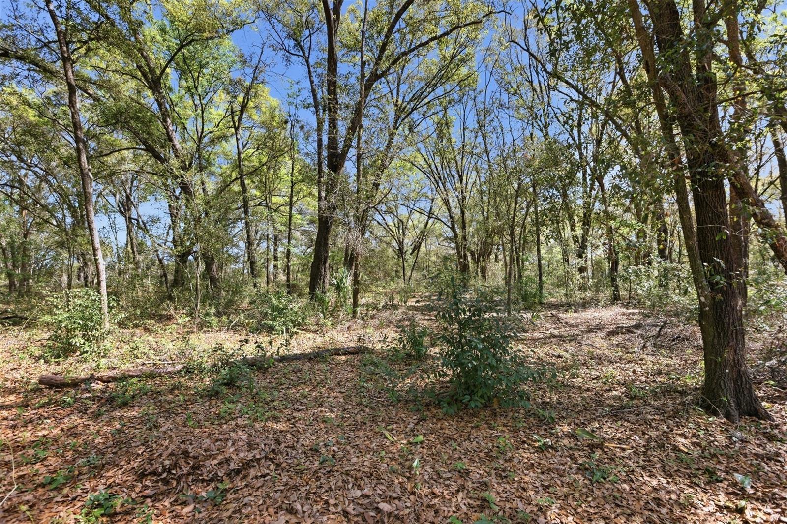 Image 34 of 42 For 34534 Salerno Circle