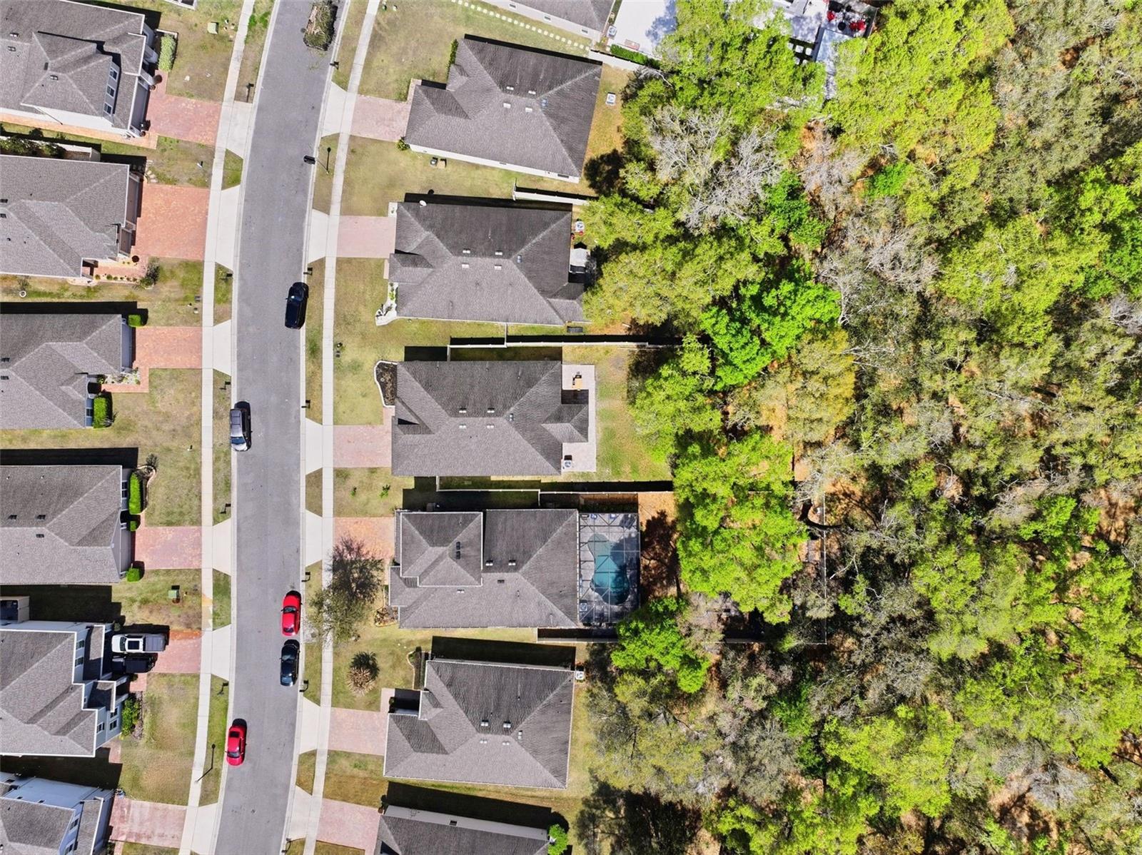 Image 36 of 42 For 34534 Salerno Circle