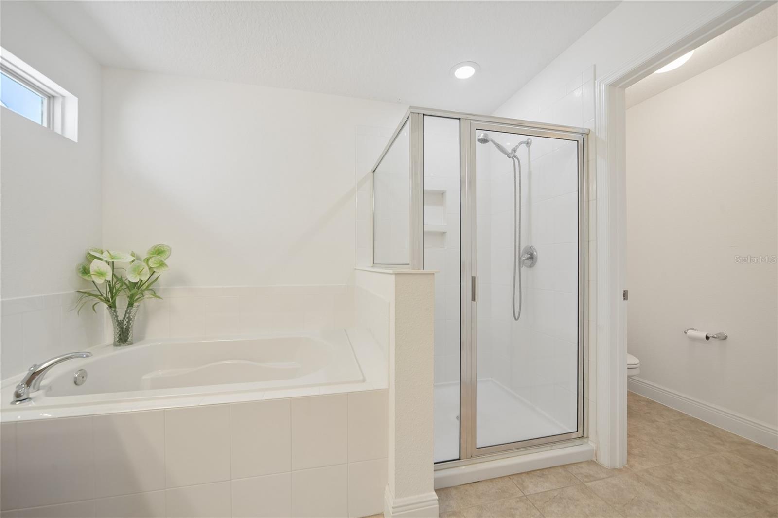 Image 35 of 39 For 3232 Stonewyck Street