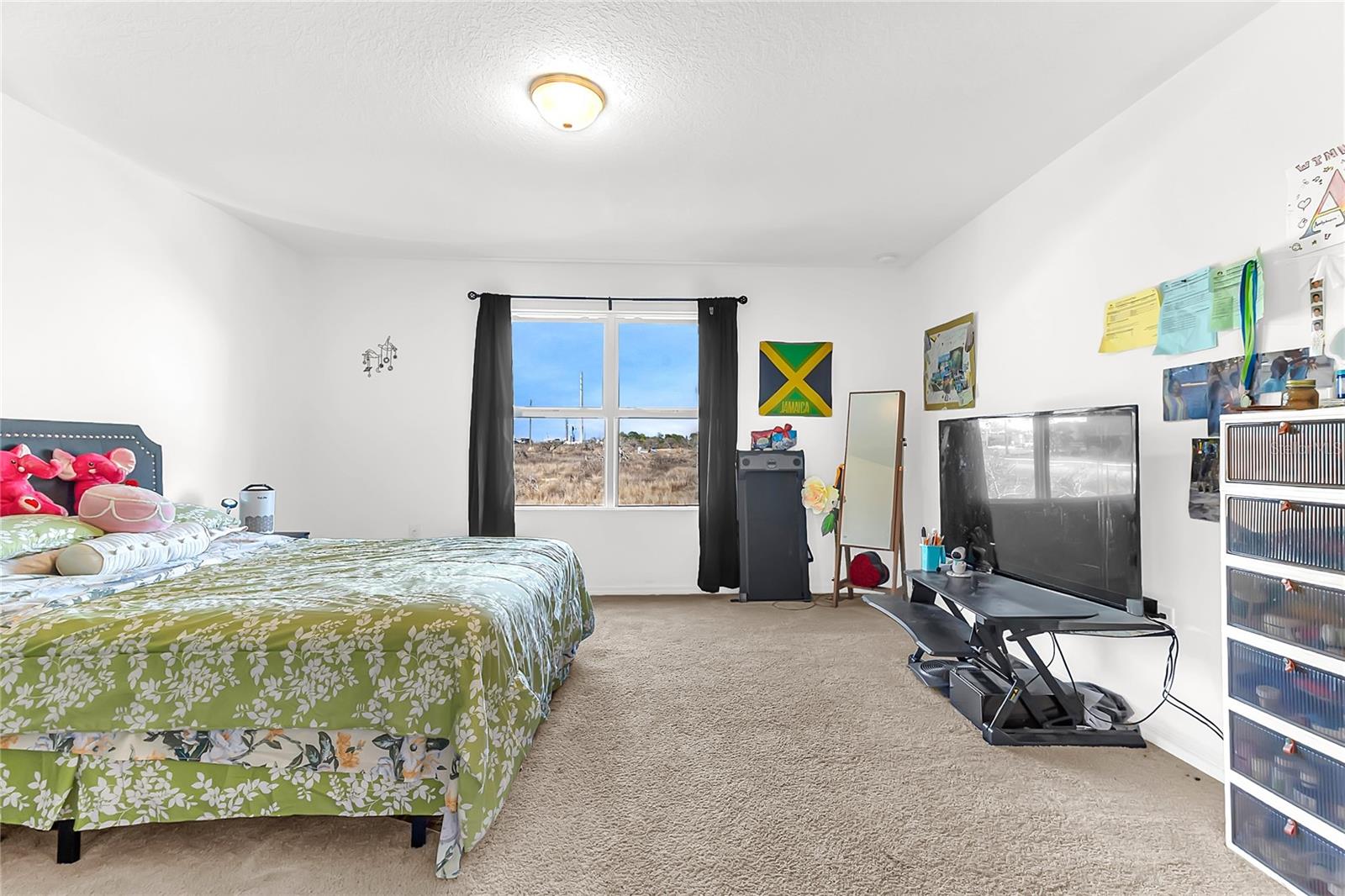 Image 12 of 22 For 153 Mandovi Street