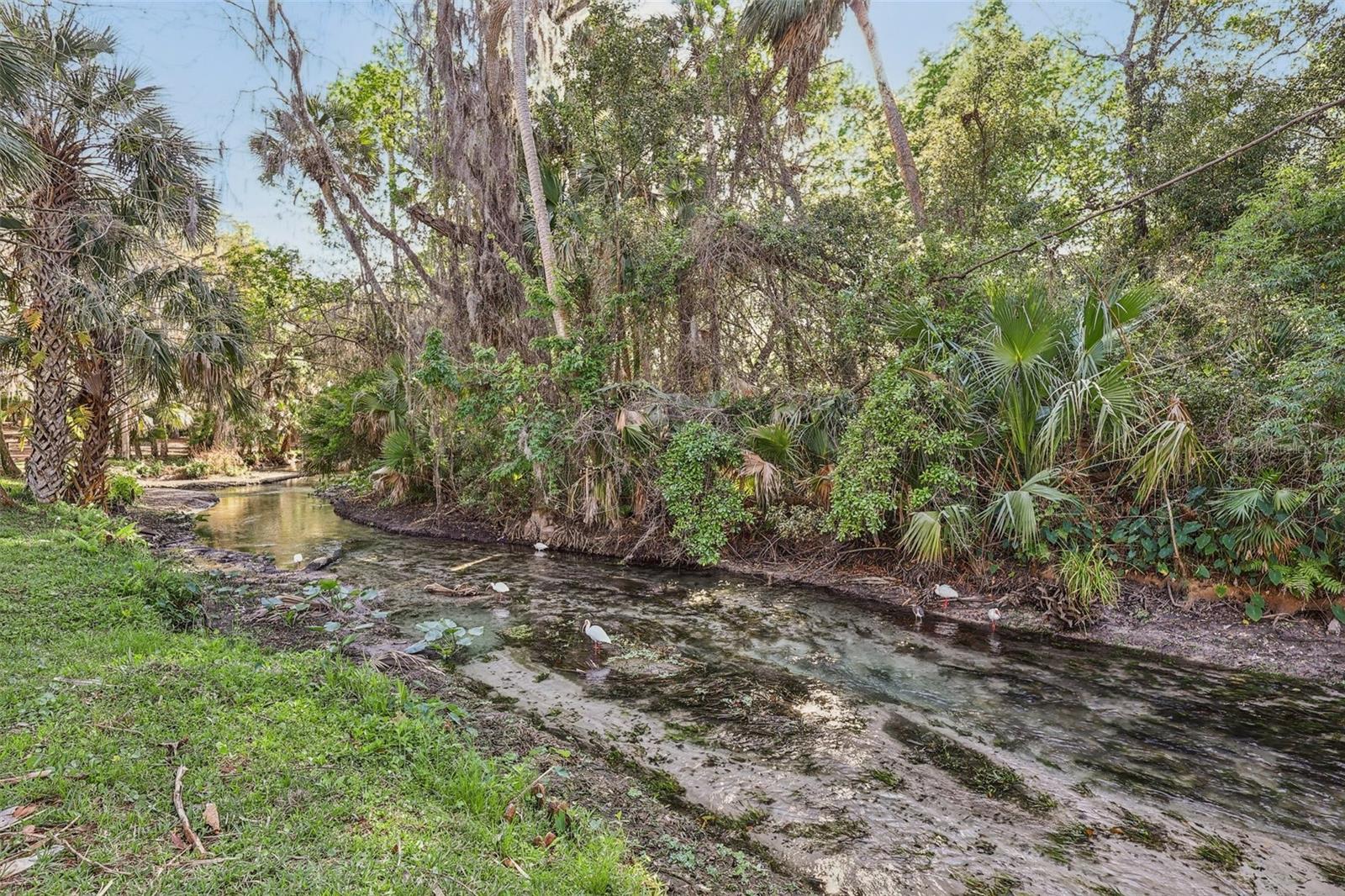 Image 38 of 48 For 116 Crown Oaks Way 116