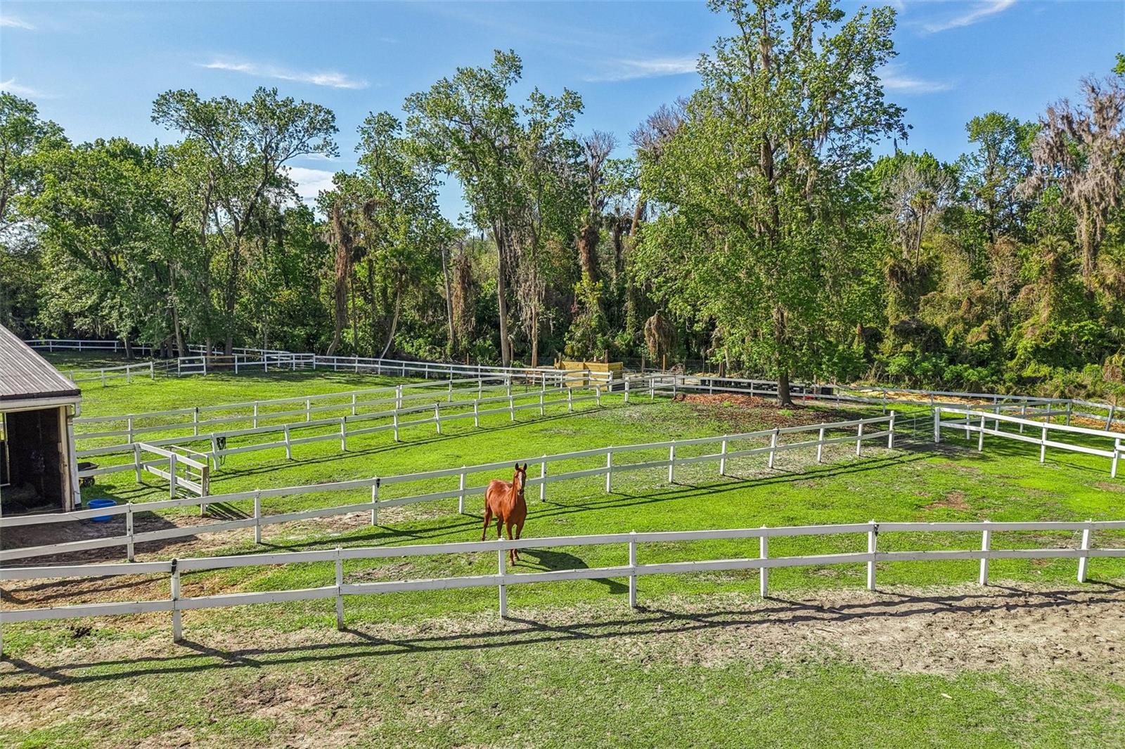 Image 47 of 48 For 116 Crown Oaks Way 116