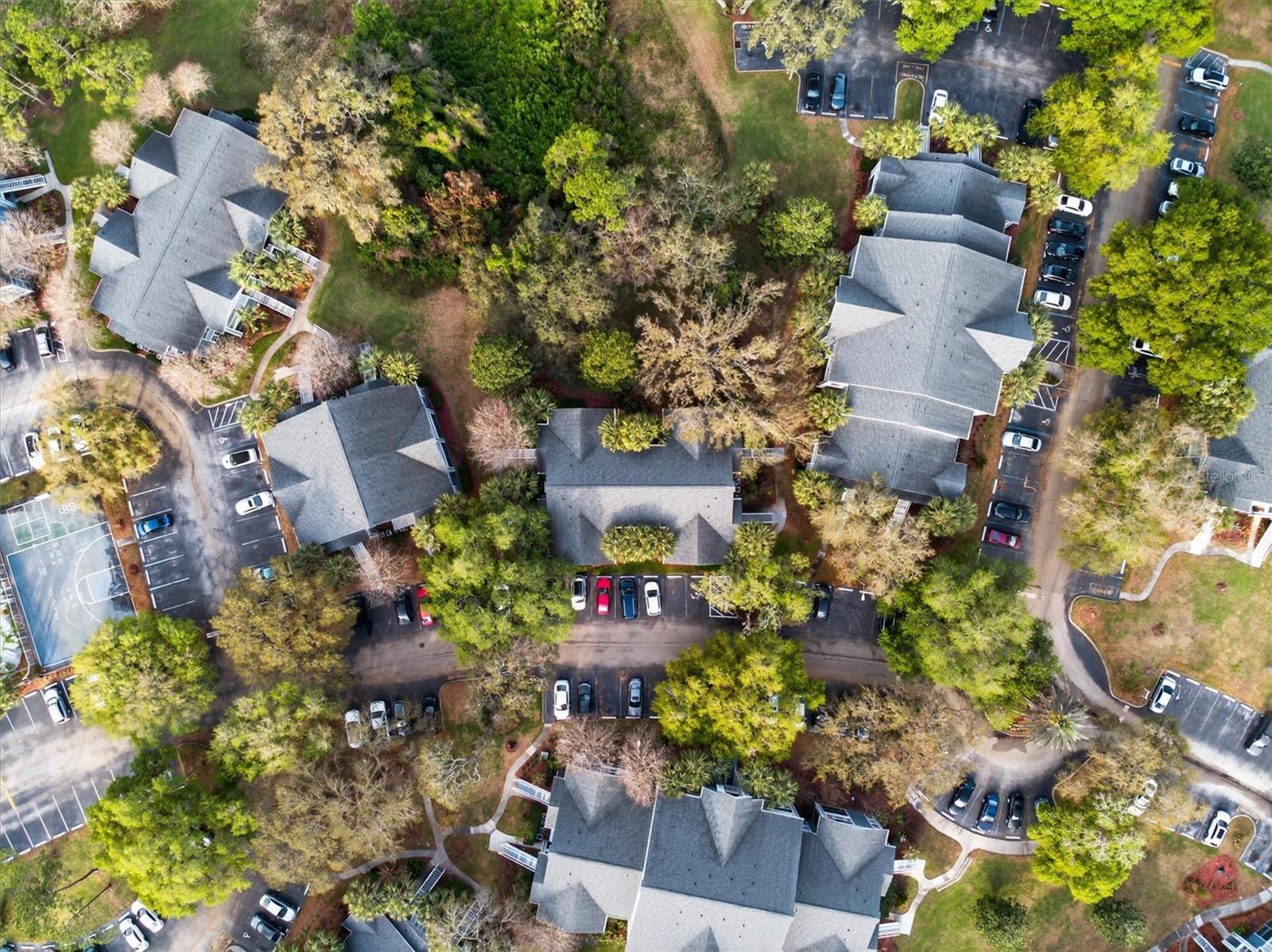 Image 36 of 54 For 2532 Grassy Point Drive 106