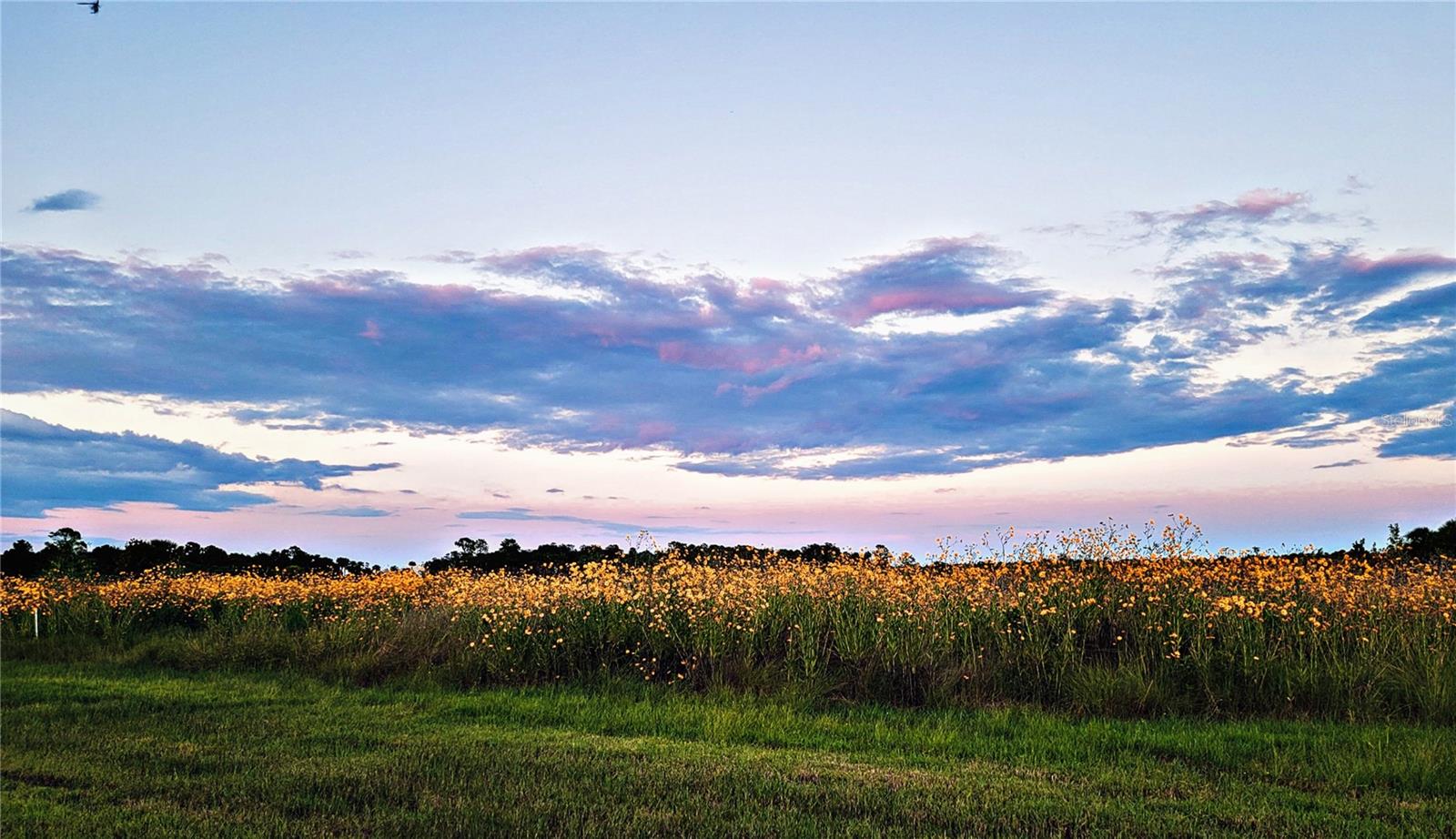 Image 75 of 76 For 2269 Mullet Lake Park Road