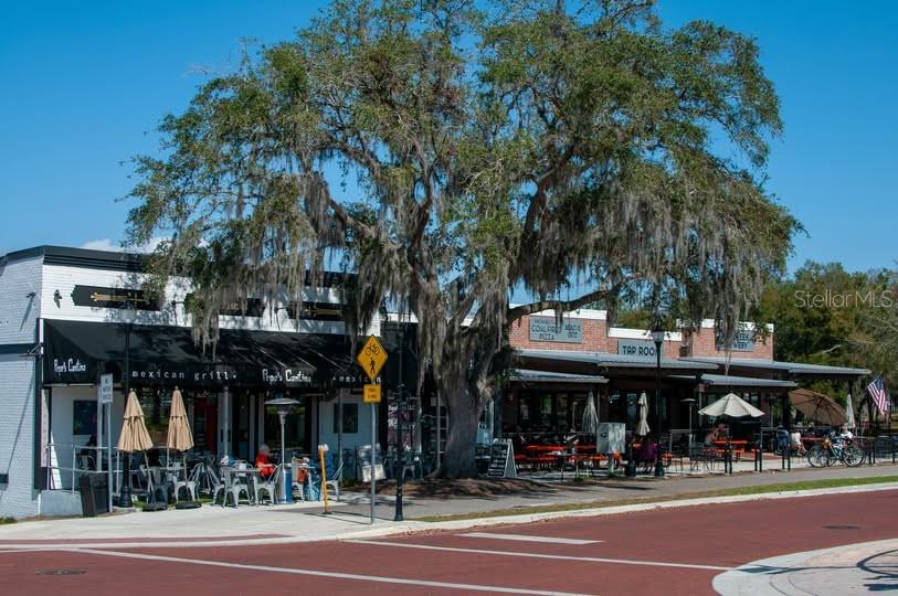 Image 30 of 35 For 157 Tranquil Mirror Lake Court Lot 10