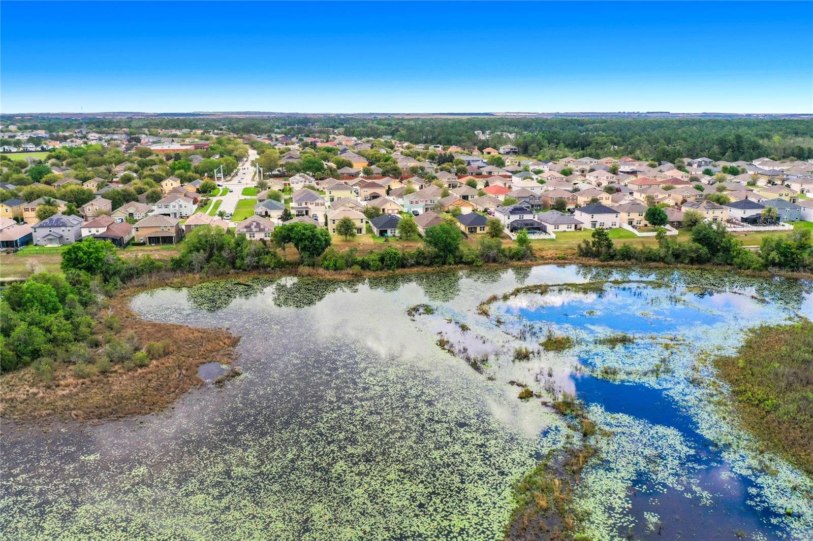 Image 32 of 32 For 3689 Maidencain Street