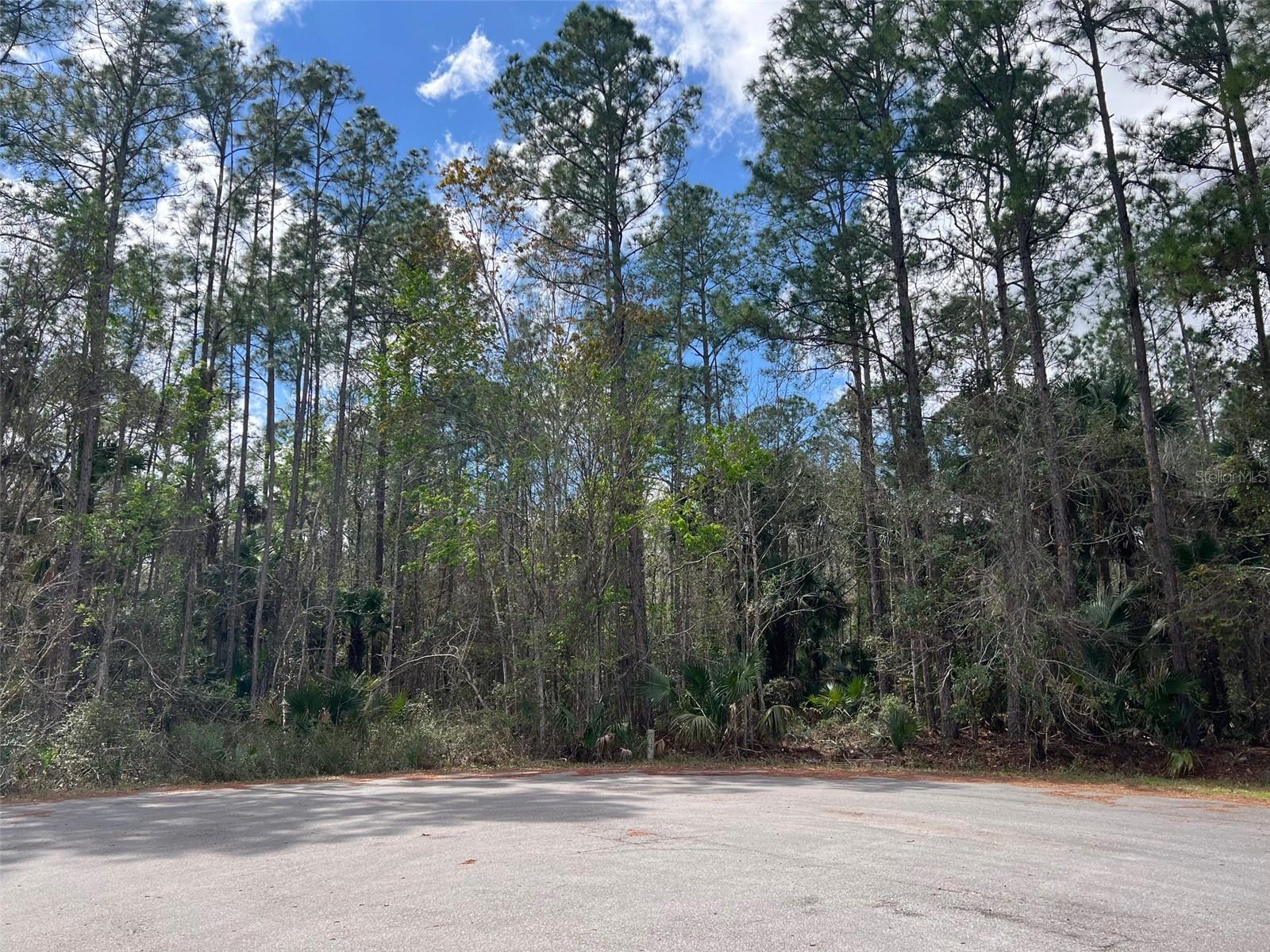 Details for Tomahawk Trail, DELAND, FL 32720