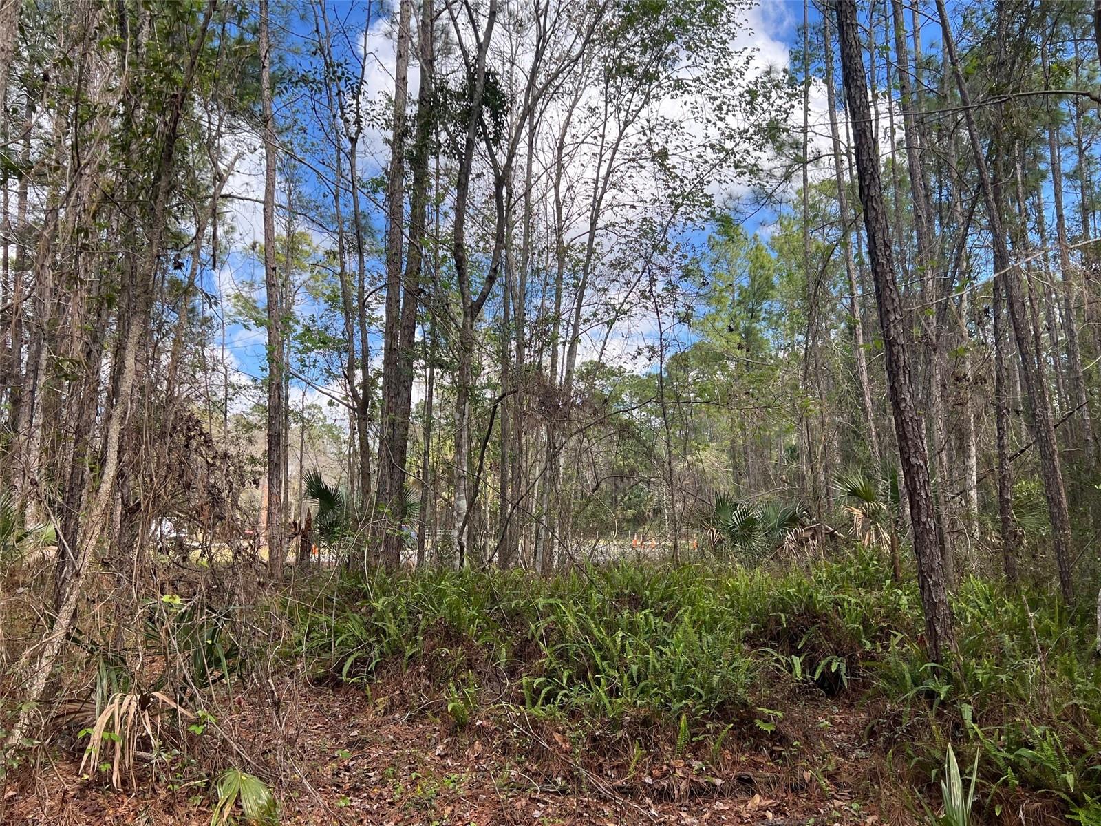 Image 2 of 4 For Tomahawk Trail