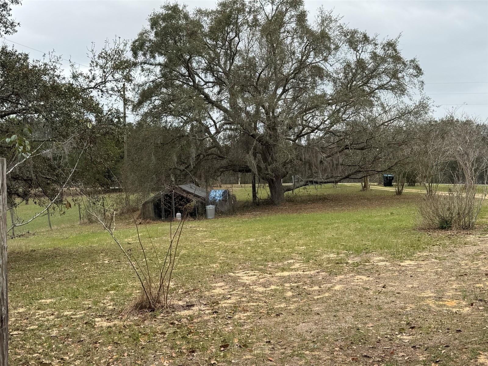 Image 19 of 19 For 18001 Phil C Peters Road