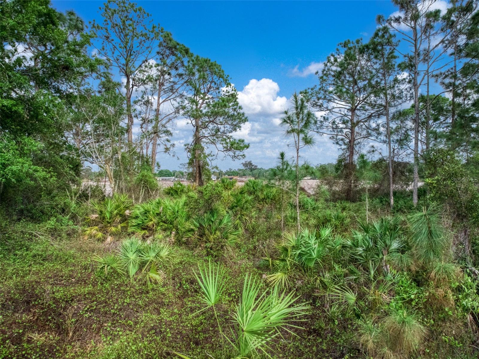 Image 12 of 17 For 4814 Lakewood Road