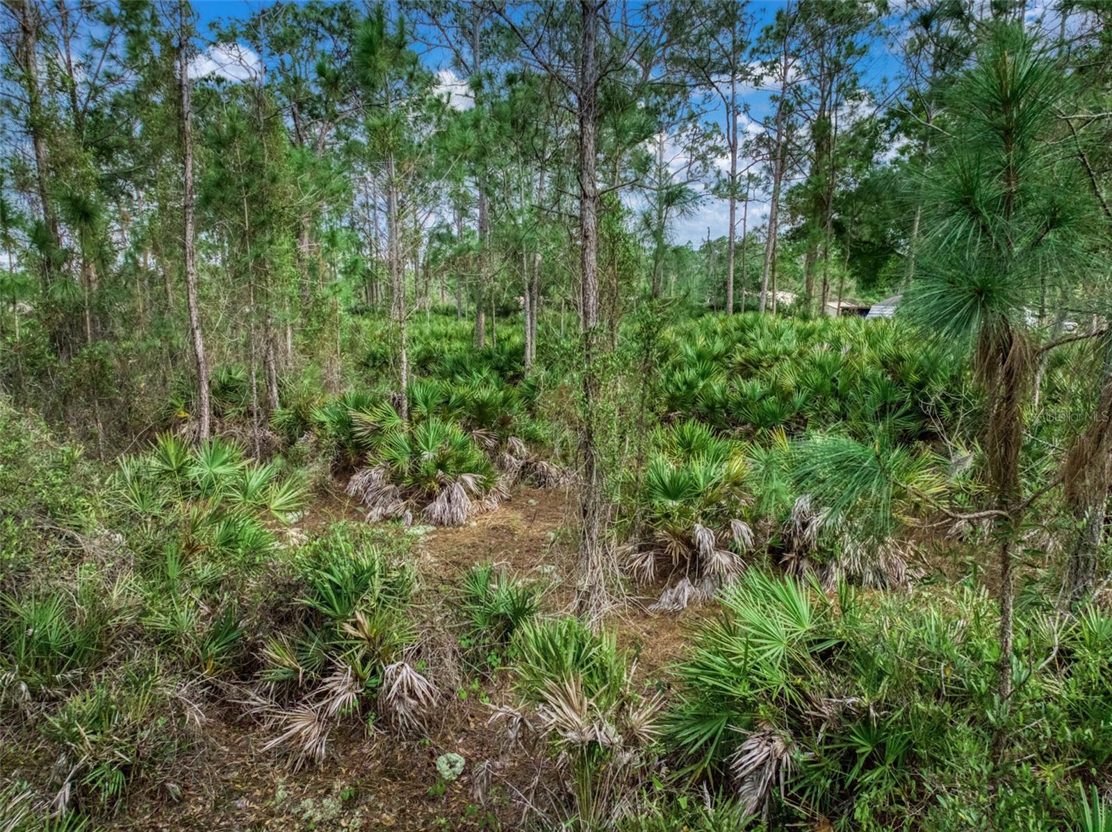 Image 16 of 17 For 4814 Lakewood Road