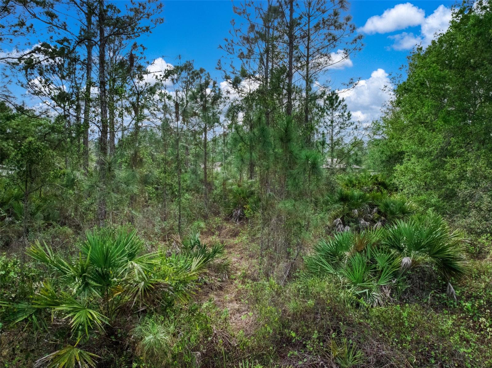 Image 17 of 17 For 4814 Lakewood Road