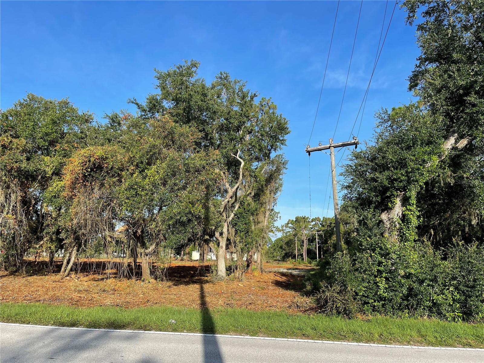 Image 12 of 49 For 3524 Hickory Tree Road