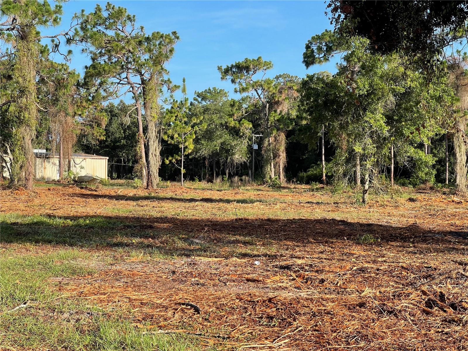 Image 13 of 49 For 3524 Hickory Tree Road