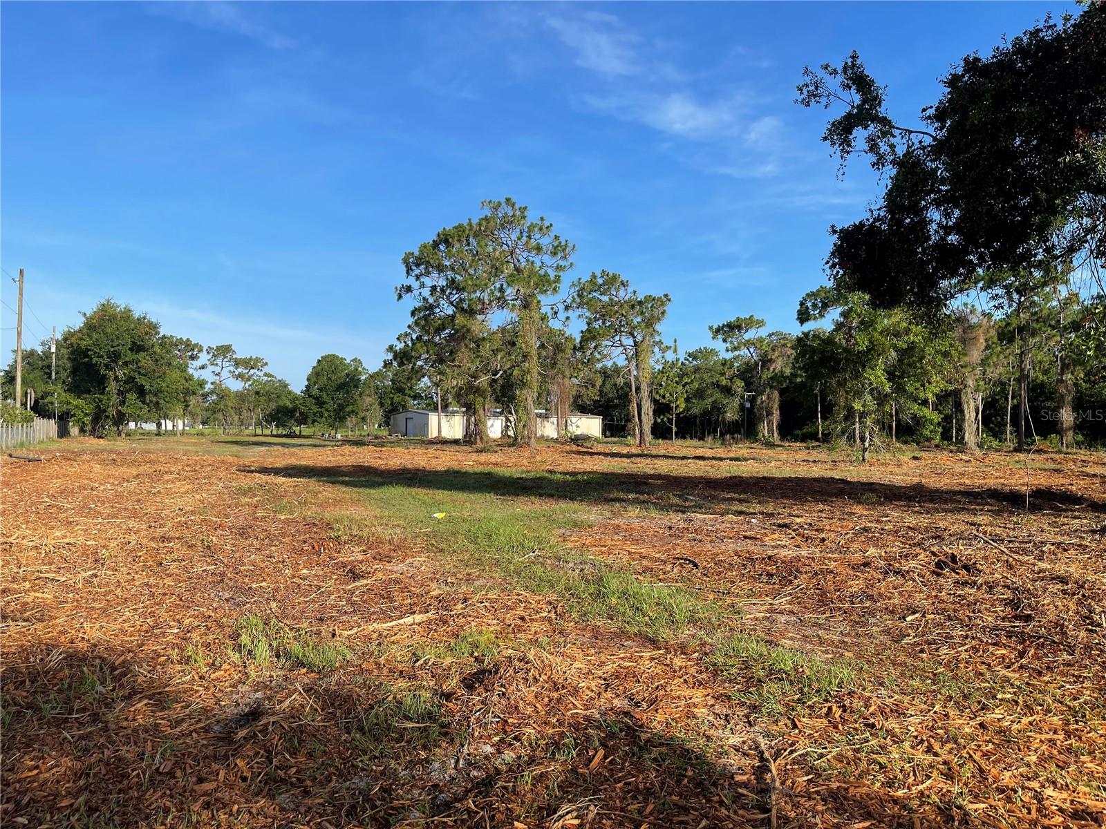 Image 15 of 49 For 3524 Hickory Tree Road