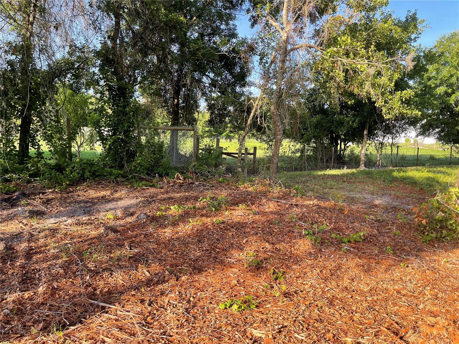 Image 26 of 49 For 3524 Hickory Tree Road