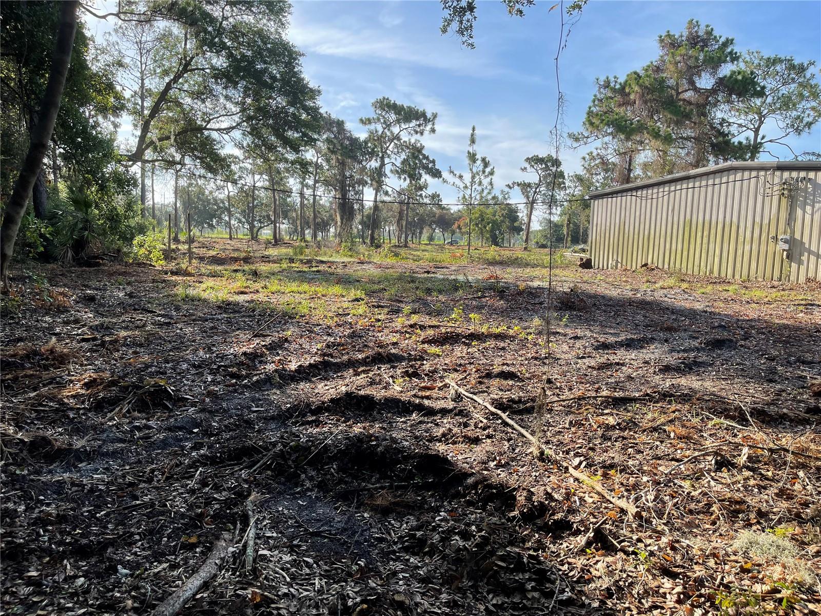 Image 30 of 49 For 3524 Hickory Tree Road