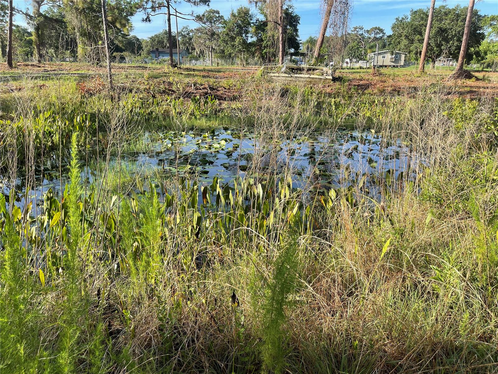 Image 34 of 49 For 3524 Hickory Tree Road