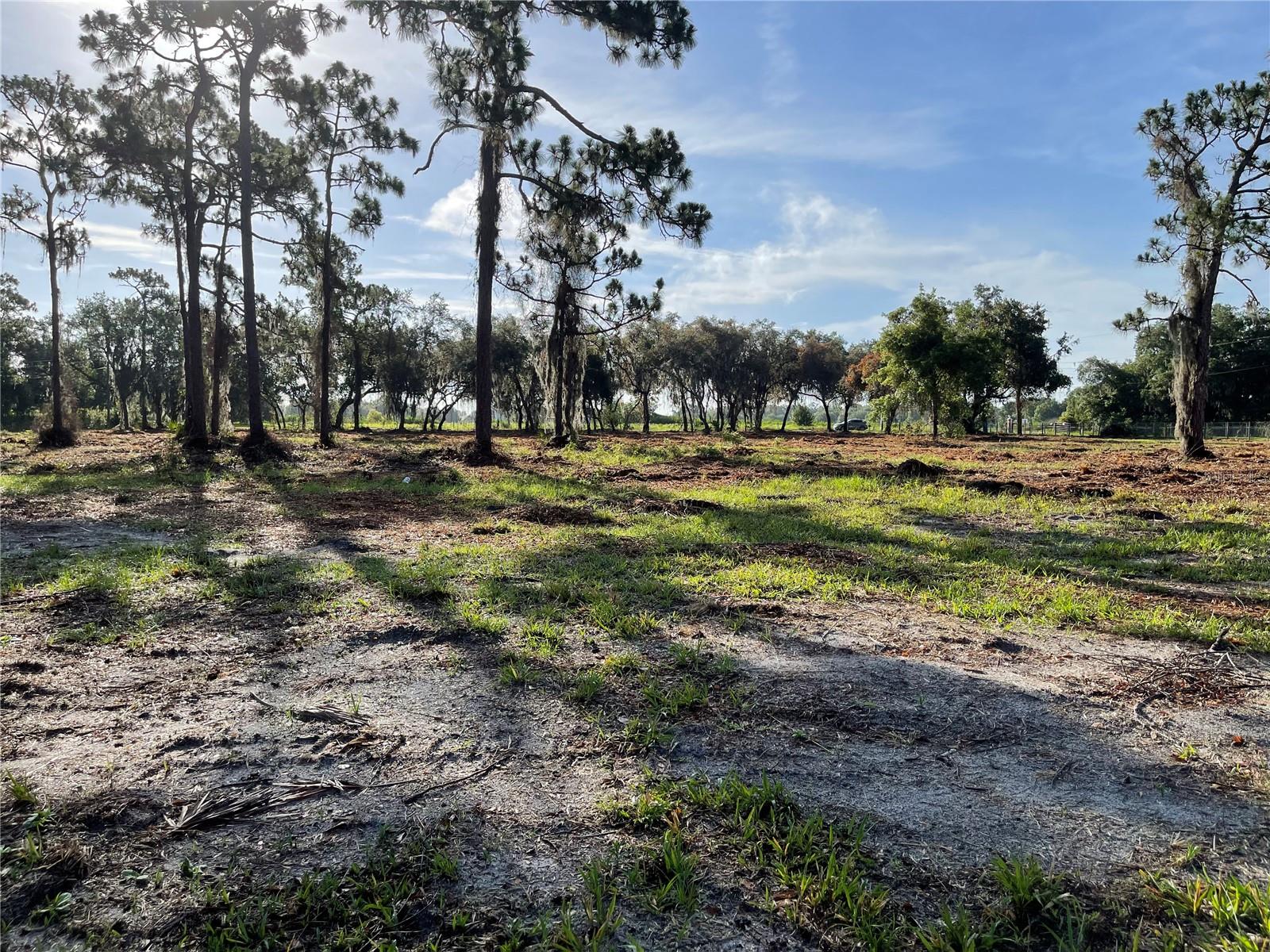 Image 38 of 49 For 3524 Hickory Tree Road