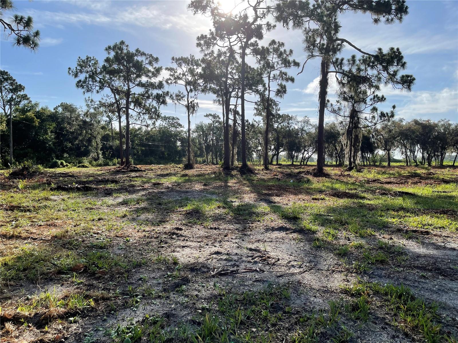 Image 39 of 49 For 3524 Hickory Tree Road