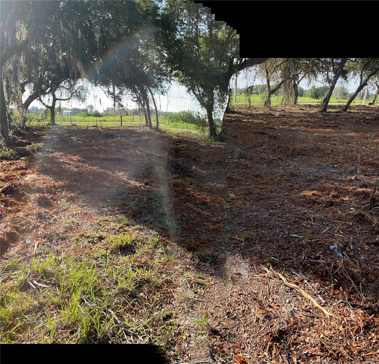 Image 43 of 49 For 3524 Hickory Tree Road