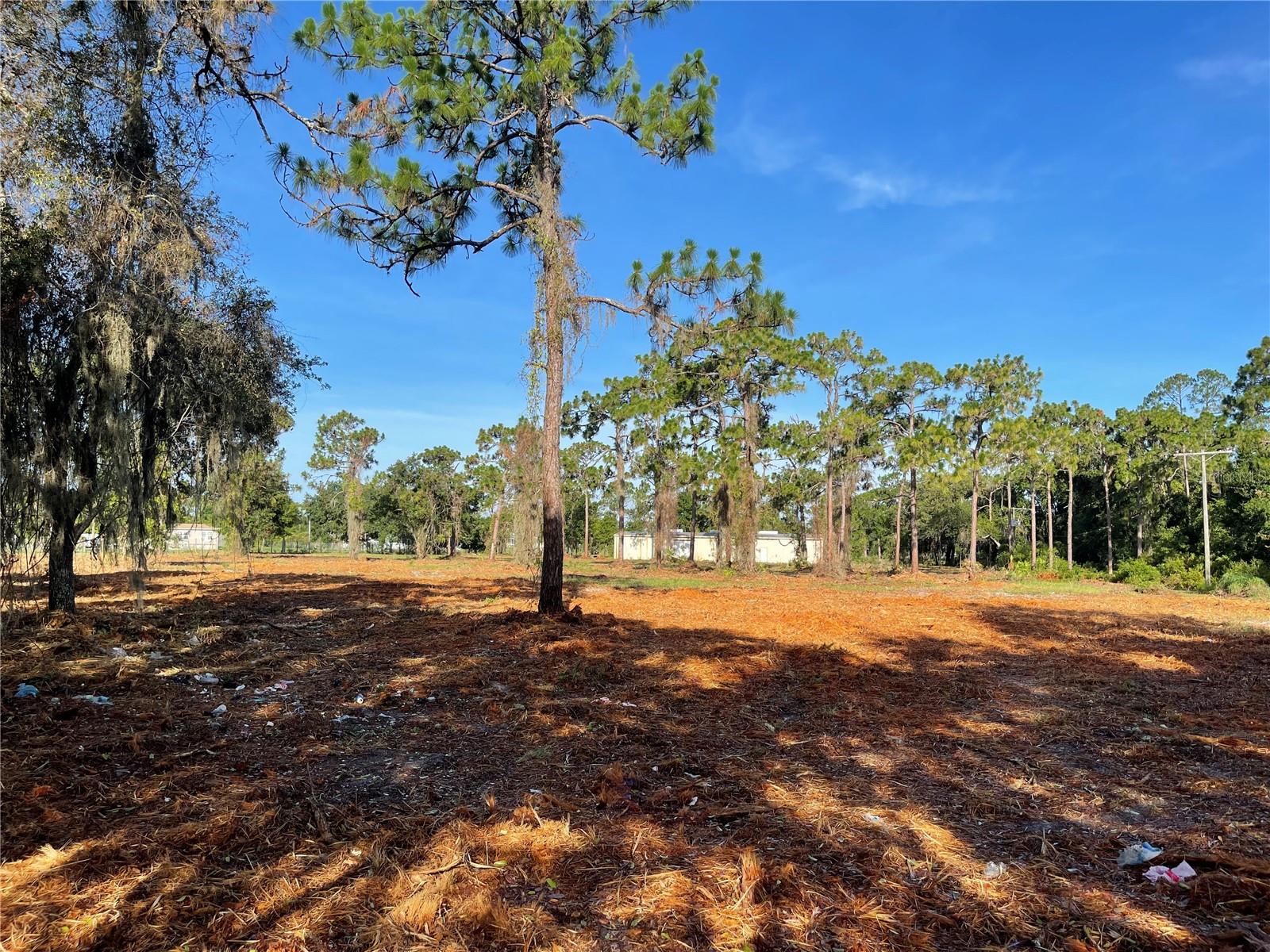 Image 44 of 49 For 3524 Hickory Tree Road